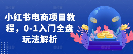 小红书电商项目教程，0-1入门全盘玩法解析-SSOKS网创项目-分享创业资讯_最新网络项目资源