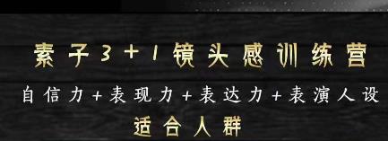 素子表现力训练营，提高自信力+表现力+表达力+表演人设，打造个人魅力ip-SSOKS网创项目-分享创业资讯_最新网络项目资源
