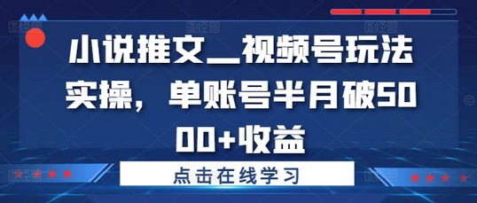小说推文—视频号玩法实操，单账号半月破5000+收益-SSOKS网创项目-分享创业资讯_最新网络项目资源