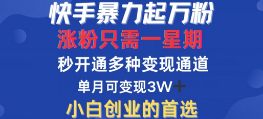 快手暴力起万粉，涨粉只需一星期，多种变现模式，直接秒开万合，单月变现过W-SSOKS网创项目-分享创业资讯_最新网络项目资源