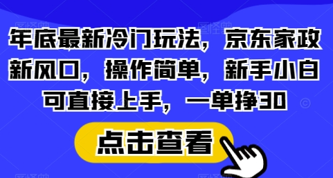 年底最新冷门玩法，京东家政新风口，操作简单，新手小白可直接上手，一单挣30-SSOKS网创项目-分享创业资讯_最新网络项目资源