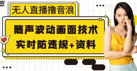 无人直播撸音浪+随声波动画面技术+实时防违规+资料-SSOKS网创项目-分享创业资讯_最新网络项目资源