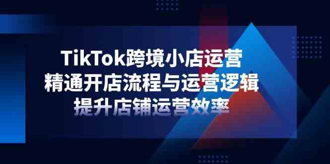 TikTok跨境小店运营，精通开店流程与运营逻辑，提升店铺运营效率-SSOKS网创项目-分享创业资讯_最新网络项目资源
