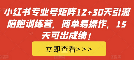 小红书专业号矩阵12+30天引流陪跑训练营，简单易操作，15天可出成绩!-SSOKS网创项目-分享创业资讯_最新网络项目资源