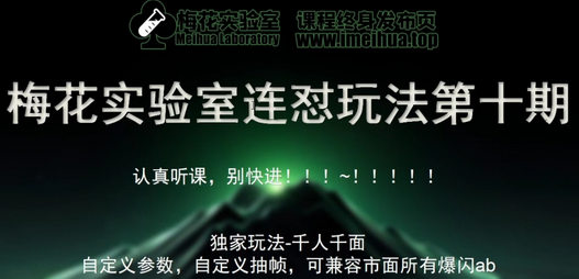 梅花实验室社群专享课视频号连怼玩法第十期课程+第二部分-FF助手全新高自由万能爆闪AB处理-SSOKS网创项目-分享创业资讯_最新网络项目资源