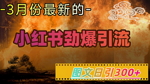 小红书超劲爆引流手段，图文日引300+轻松变现1W-SSOKS网创项目-分享创业资讯_最新网络项目资源