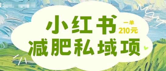 小红书减肥粉，私域变现项目，一单就达210元，小白也能轻松上手-SSOKS网创项目-分享创业资讯_最新网络项目资源