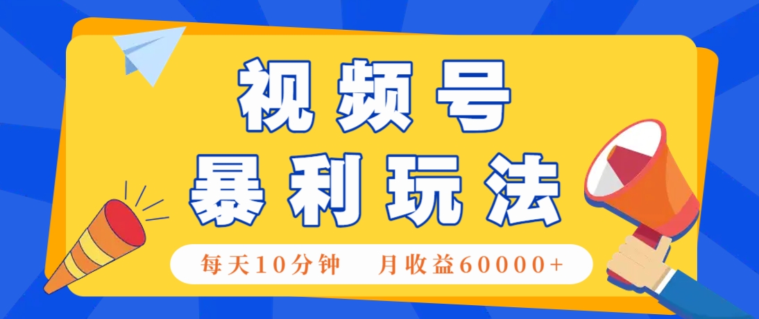 视频号AI赚钱法，每天只需10分钟，月入6万+！（超详细拆解）-SSOKS网创项目-分享创业资讯_最新网络项目资源