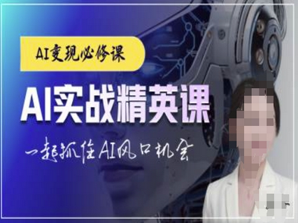 AI实战精英课，chatgptAI实战教程，一起抓住AI风口的机会-SSOKS网创项目-分享创业资讯_最新网络项目资源