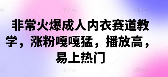 非常火爆成人内衣赛道教学，​涨粉嘎嘎猛，播放高，易上热门-SSOKS网创项目-分享创业资讯_最新网络项目资源