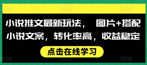 小说推文最新玩法， 图片+搭配小说文案，转化率高，收益稳定-SSOKS网创项目-分享创业资讯_最新网络项目资源
