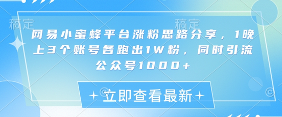 网易小蜜蜂平台涨粉思路分享，1晚上3个账号各跑出1W粉，同时引流公众号1000+-SSOKS网创项目-分享创业资讯_最新网络项目资源