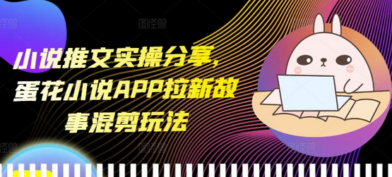 小说推文实操分享，蛋花小说APP拉新故事混剪玩法-SSOKS网创项目-分享创业资讯_最新网络项目资源