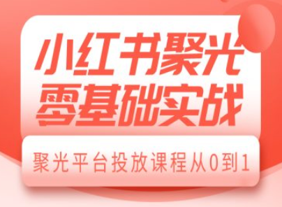 小红书聚光零基础实战，聚光平台投放课程从0到1-SSOKS网创项目-分享创业资讯_最新网络项目资源