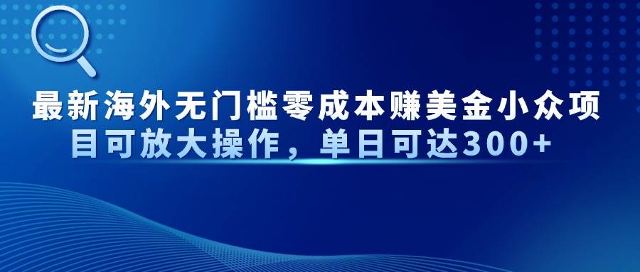 （14542期）最新海外无门槛零成本赚美金小众项目可放大操作，单日可达300+-SSOKS网创项目-分享创业资讯_最新网络项目资源