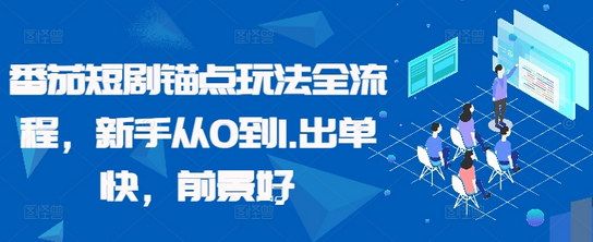 番茄短剧锚点玩法全流程，新手从0到1，出单快，前景好-SSOKS网创项目-分享创业资讯_最新网络项目资源