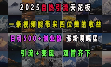 2025自热引流天花板，一条视频能带来四位数的收益，引流+变现双管齐下，日引500+创业粉，涨粉嘎嘎猛-SSOKS网创项目-分享创业资讯_最新网络项目资源