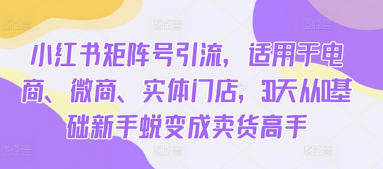 小红书矩阵号引流，适用于电商、微商、实体门店，30天从0基础新手蜕变成卖货高手-SSOKS网创项目-分享创业资讯_最新网络项目资源