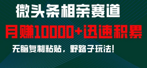 微头条相亲赛道，迅速积累，无脑复制粘贴，野路子玩法，月入1w-SSOKS网创项目-分享创业资讯_最新网络项目资源