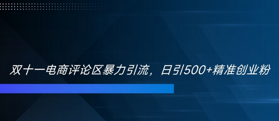 双十一电商评论区暴力引流，日引500+精准创业粉-SSOKS网创项目-分享创业资讯_最新网络项目资源