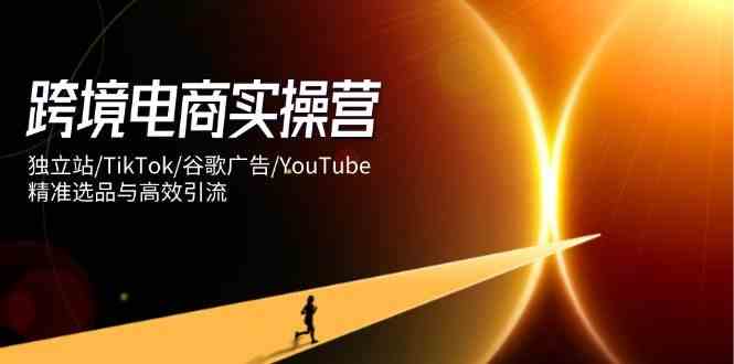 跨境电商实操营：独立站/TikTok/谷歌广告/YouTube，精准选品与高效引流-SSOKS网创项目-分享创业资讯_最新网络项目资源