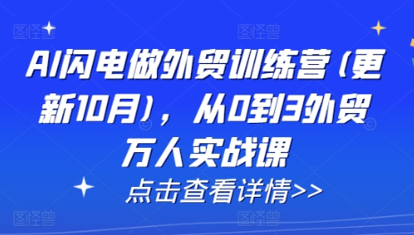 AI闪电做外贸训练营(更新25年1月)，从0到3外贸万人实战课-SSOKS网创项目-分享创业资讯_最新网络项目资源