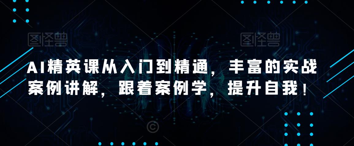 AI精英课从入门到精通，丰富的实战案例讲解，跟着案例学，提升自我！-SSOKS网创项目-分享创业资讯_最新网络项目资源
