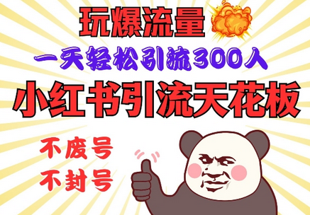 小红书引流天花板，玩爆流量，一天轻松引流300人，安全操作-SSOKS网创项目-分享创业资讯_最新网络项目资源