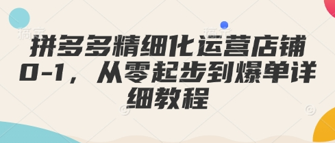 拼多多精细化运营店铺0-1，从零起步到爆单详细教程-SSOKS网创项目-分享创业资讯_最新网络项目资源