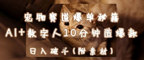 宠物赛道爆单秘籍：AI+数字人10分钟造爆款，日入1k-SSOKS网创项目-分享创业资讯_最新网络项目资源