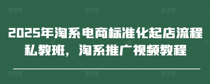 2025年淘系电商标准化起店流程私教班，淘系推广视频教程-SSOKS网创项目-分享创业资讯_最新网络项目资源
