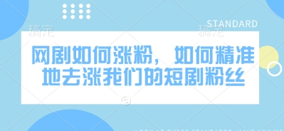 网剧如何涨粉，如何精准地去涨我们的短剧粉丝-SSOKS网创项目-分享创业资讯_最新网络项目资源