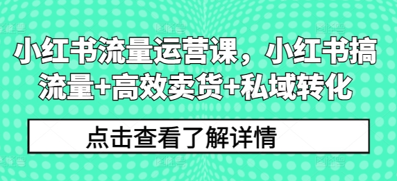 小红书流量运营课，小红书搞流量+高效卖货+私域转化-SSOKS网创项目-分享创业资讯_最新网络项目资源