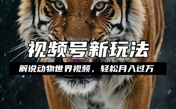 利用动物世界解说视频，赚分成计划收益，轻松月入过W，操作简单-SSOKS网创项目-分享创业资讯_最新网络项目资源