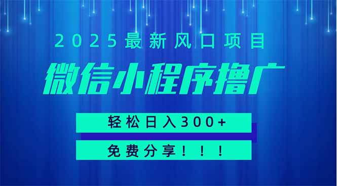 （14375期）微信小程序撸广，最新风口项目，日入300+ 免费分享 可批量操作 小白可…-SSOKS网创项目-分享创业资讯_最新网络项目资源
