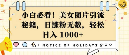 小白必看，美女图片引流秘籍，日涨粉无数，轻松日入几张-SSOKS网创项目-分享创业资讯_最新网络项目资源