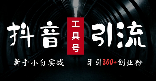 2024最新抖音工具号引流玩法，高效日引300+创业粉，当天变现5k，小白也可成为实战高手-SSOKS网创项目-分享创业资讯_最新网络项目资源