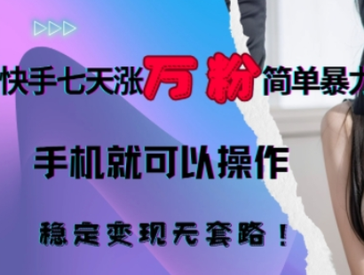 快手七天涨万粉简单暴力，手机就可以操作，稳定变现无套路!-SSOKS网创项目-分享创业资讯_最新网络项目资源