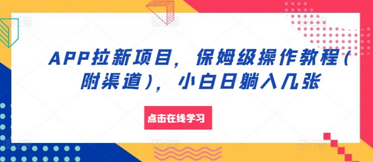 APP拉新项目，保姆级操作教程(附渠道)，小白日躺入几张-SSOKS网创项目-分享创业资讯_最新网络项目资源