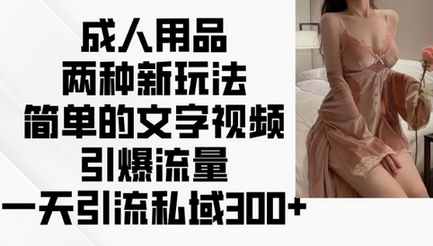 成人用品两种新玩法，简单的文字视频引爆流量，一天引流私域300+-SSOKS网创项目-分享创业资讯_最新网络项目资源