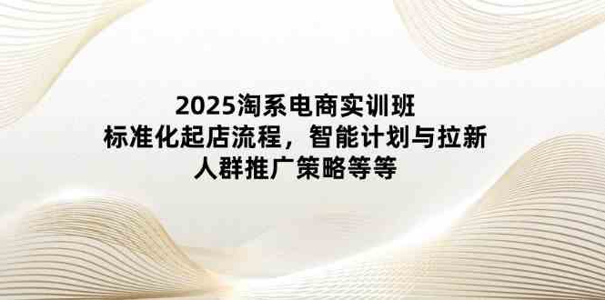 2025淘系电商实训班：标准化起店流程，智能计划与拉新，人群推广策略等等-SSOKS网创项目-分享创业资讯_最新网络项目资源