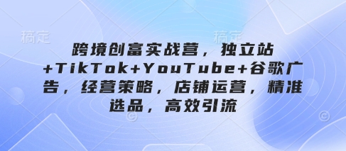 跨境创富实战营，独立站+TikTok+YouTube+谷歌广告，经营策略，店铺运营，精准选品，高效引流-SSOKS网创项目-分享创业资讯_最新网络项目资源