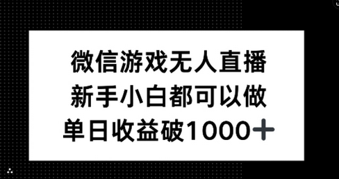 微信游戏无人直播，新手小白都可以做，单日收益破1k-SSOKS网创项目-分享创业资讯_最新网络项目资源