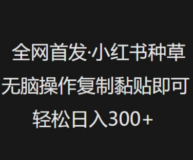 全网首发，小红书种草无脑操作，复制黏贴即可，轻松日入3张-SSOKS网创项目-分享创业资讯_最新网络项目资源