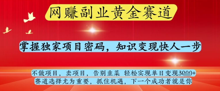网创副业黄全赛道，掌握独家项目密码，知识变现快人一步，告别韭菜轻松实现单日变现1k+【揭秘】-SSOKS网创项目-分享创业资讯_最新网络项目资源