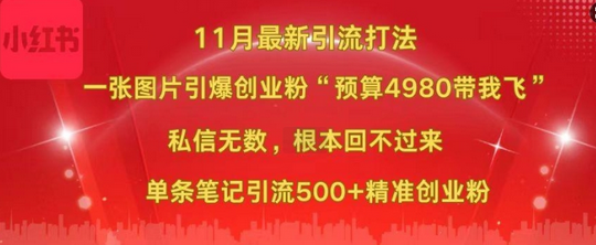 小红书11月最新图片打粉，一张图片引爆创业粉，“预算4980带我飞”，单条引流500+精准创业粉-SSOKS网创项目-分享创业资讯_最新网络项目资源