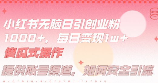 小红书无脑每日引流创业粉500+，小白每天只花半小时，躺赚长尾收益-SSOKS网创项目-分享创业资讯_最新网络项目资源