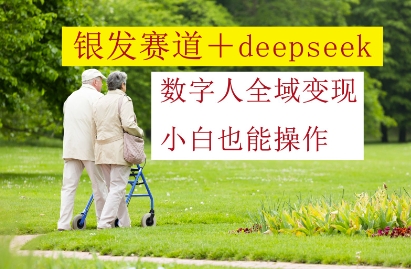 银发赛道+deepseek数字人全域变现，小白也能操作-SSOKS网创项目-分享创业资讯_最新网络项目资源