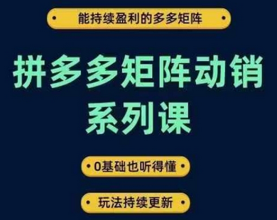 拼多多矩阵动销系列课，能持续盈利的多多矩阵，0基础也听得懂，玩法持续更新-SSOKS网创项目-分享创业资讯_最新网络项目资源