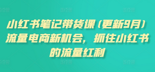小红书笔记带货课(更新12月)流量电商新机会，抓住小红书的流量红利-SSOKS网创项目-分享创业资讯_最新网络项目资源
